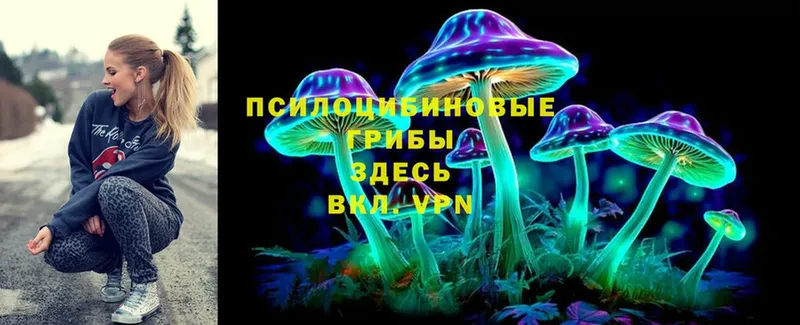 Псилоцибиновые грибы Psilocybine cubensis  Минусинск 